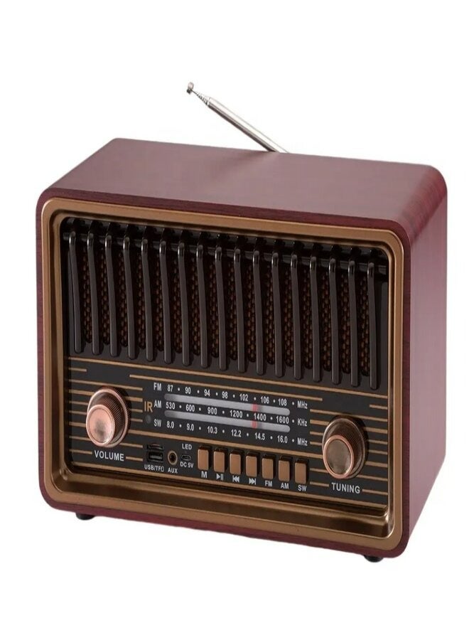 دي إل سي  راديو الكل في واحد 8 واط مع جهاز تحكم عن بعد راديو AM/FM/SW / مشغل USB / TWS / مشغل TF / اتصال BT - Image 1