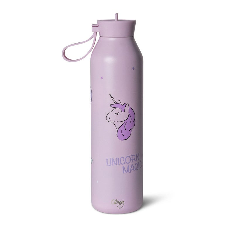 Citron Insulated Stainless Steel Water Bottle 750ml | Triple-Wall Vacuum Flask with Straw, Cleaning Brush & Silicone Bumper | Leak-Proof Thermal Bottle for Teens, Adults, Gym, Office & Travel - Image 2