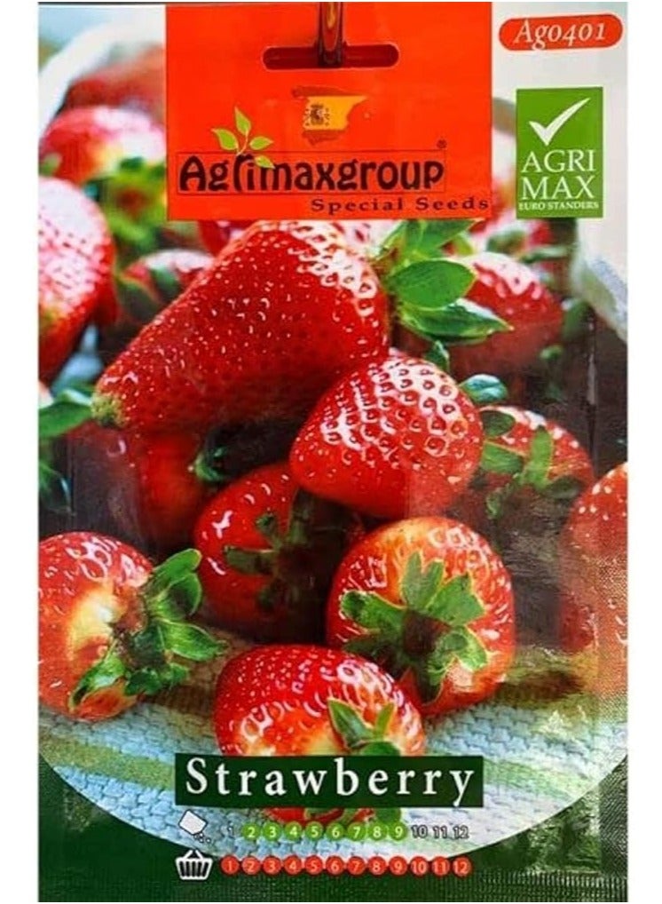 Agrimax Strawberry Premium Quality Seeds by Agrimaxgroup - Image 1