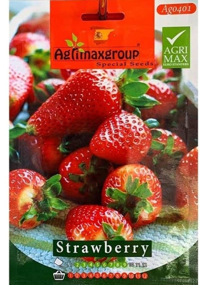Agrimax Strawberry Premium Quality Seeds by Agrimaxgroup - Image 2
