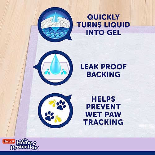 Hartz Home Protection Lavender Scented Dog Pads, XXL 20 count, Super Absorbent & Won't Leak, Odor Eliminating - Image 3