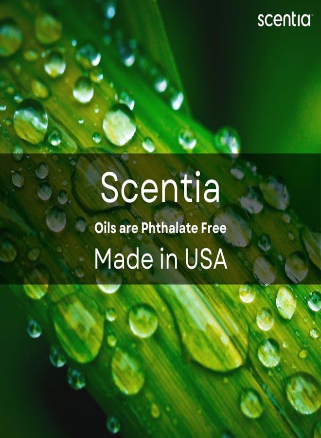 Scentia Pine Frost Essential Oil – 50 ml Christmas Diffuser Oil | Crisp Winter Blend with Fir, Pine, Citrus & Vanilla | Holiday Aromatherapy for Gifting, Candles & DIY Soaps - Image 5