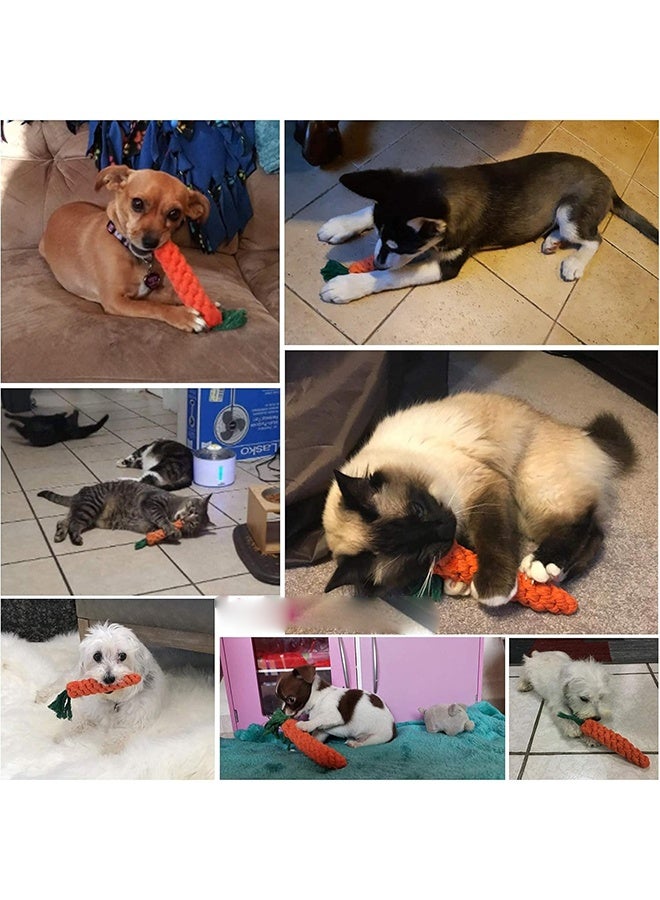 ألعاب الكلاب 2 قطعة ألعاب طحن الجراء، ألعاب حبل الكلاب، ألعاب مضغ القطط، ألعاب آمنة من الأرنب المضفر، هدية صحية - Image 3