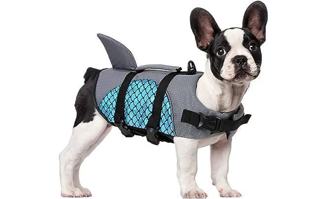 Olpad Dog Life Jacket, Pet Floatation Vest Reflective Swimsuit Mermaid Ripstop Lifesaver with Durable Rescue Handle for Small, Medium, Large Dogs (S, Blue) - Image 2