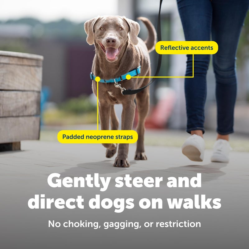 PetSafe Easy Walk Deluxe Dog Harness, No Pull Dog Harness â€“ Perfect for Leash & Harness Training â€“ Stops Pets from Pulling and Choking on Walks â€“ Medium, Ocean - Image 5