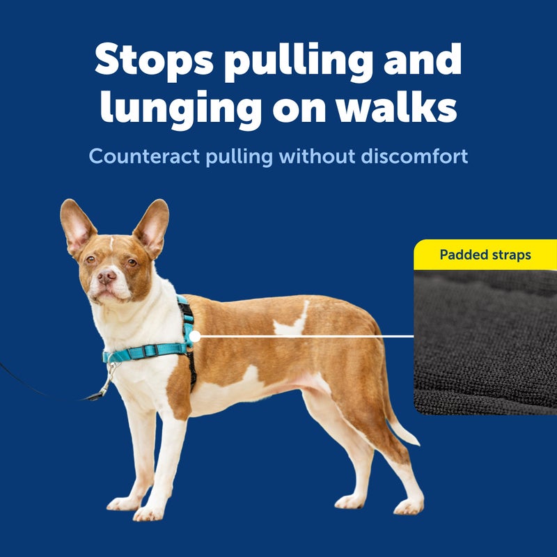 PetSafe Easy Walk Deluxe Dog Harness, No Pull Dog Harness â€“ Perfect for Leash & Harness Training â€“ Stops Pets from Pulling and Choking on Walks â€“ Medium, Ocean - Image 4