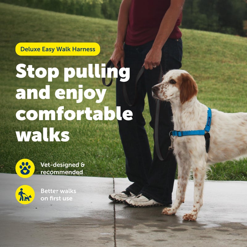 PetSafe Easy Walk Deluxe Dog Harness, No Pull Dog Harness â€“ Perfect for Leash & Harness Training â€“ Stops Pets from Pulling and Choking on Walks â€“ Medium, Ocean - Image 3