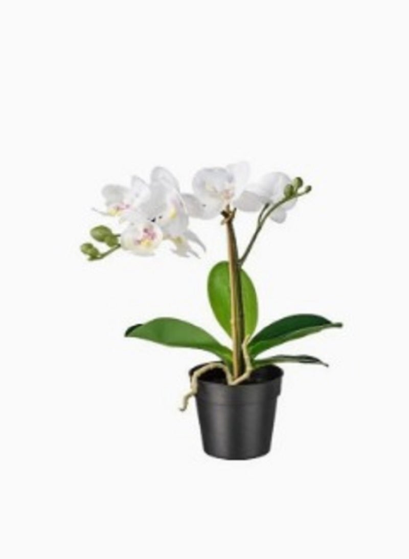 Generic Artificial plant in orchid pots white color 9 cm  - Image 1