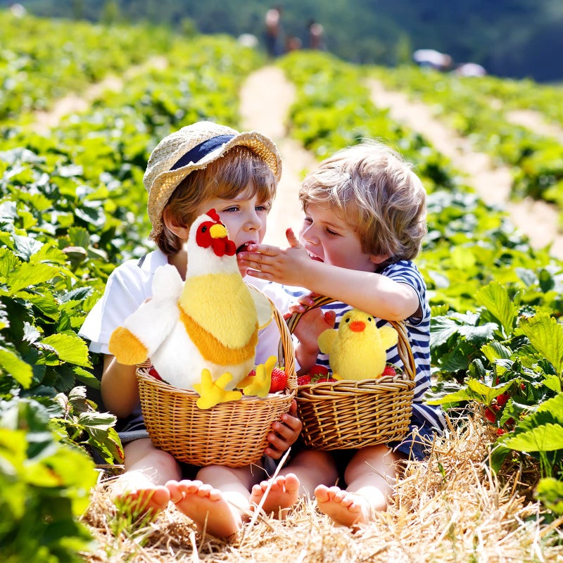 Skylety 3 Pcs Stuffed Chicken Plush Toys Gifts Set Chicken Stuffed Animal Toy Cute Cocky Rooster Plush Little Baby Chick Toys for Baby Shower Party Favor Birthday Supplies - Image 5