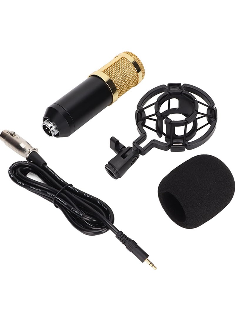 Wired Condenser Microphone, High Output and Low Noise Broadcast Recording Mic, XLR to 3.5mm Microphone with Shockproof Mount, Suitable for Recording Studios  - Image 1
