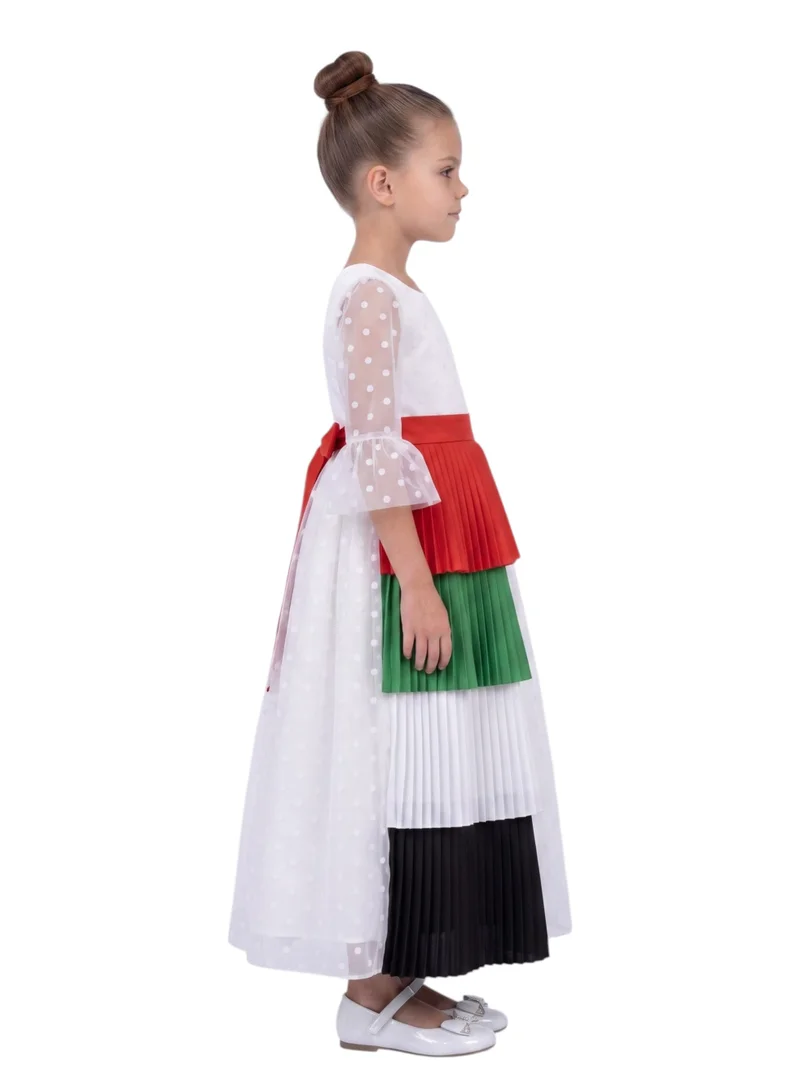 دىدانيالا Elegant Swiss Dot Tulle Party Dress with Removable UAE Flag Half-Skirt