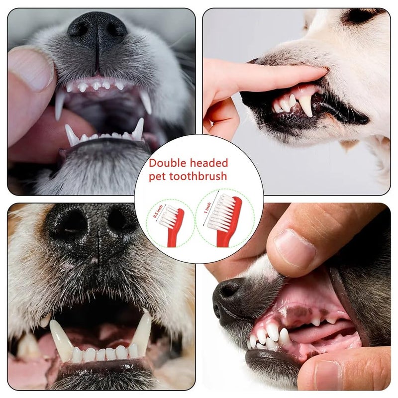 JUWANTU Dog Toothbrush Set of 8 â€“ Dual Headed Dental Hygiene Brushes for Small to Large Dogs, Easy Teeth Cleaning & Dental Care,Dog Tooth Brushes for Small to Large Dogs, Cats, and Most Pets - Image 5