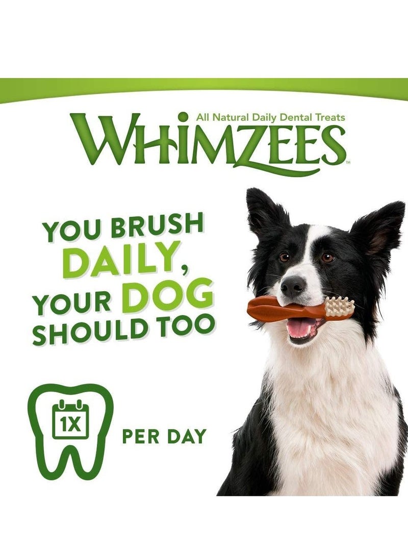 WHIMZEES - Natural Grain Free Dental Toothbrush Dog Treats 48Pcs 360G - Image 1