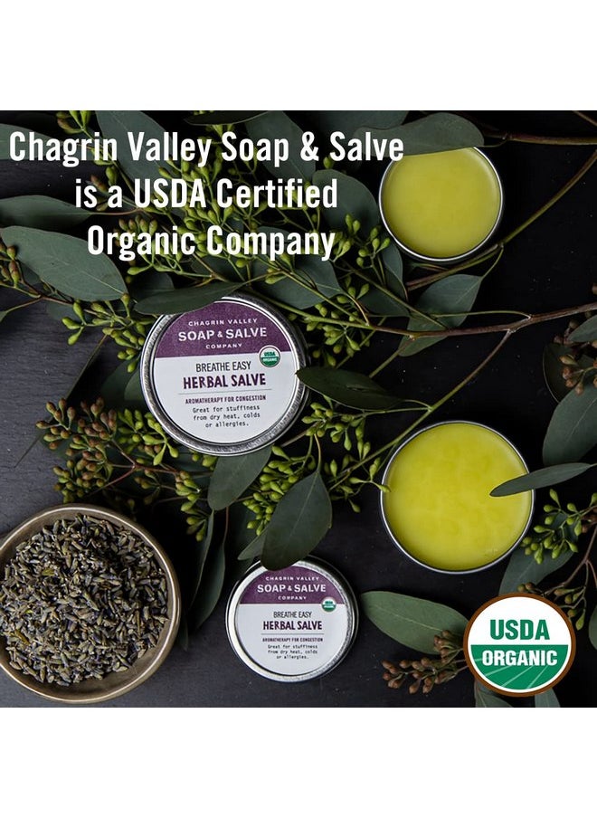 صابون ومرطب شاجرين فالي - صابون الأطفال من Chagrin Valley Soap & Salve - صابون الأطفال المصنوع من الشوفان والعسل وحليب الماعز - غير معطر ومرطب - للبشرة الجافة والحساسة للأطفال المصابين بالإكزيما - 3.5 أونصة - صابون شامبو وغسول للجسم عضوي - Image 1