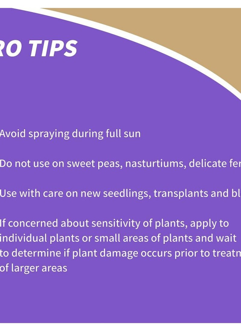 Bonide Insecticidal Soap, 32 oz Ready-to-Use Spray Multi-Purpose Insect Control for Organic Gardening Indoor and Outdoor