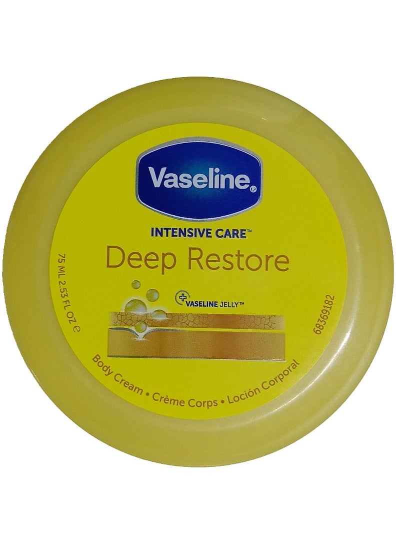 Vaseline كريم ترطيب للعناية المركزة استعادة عميقة 75 مل 