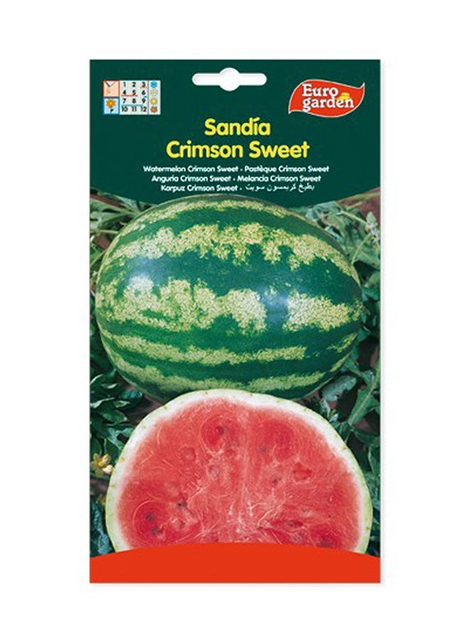 Euro Garden Euro Garden Crimson Sweet Watermelon Seeds  - Image 1