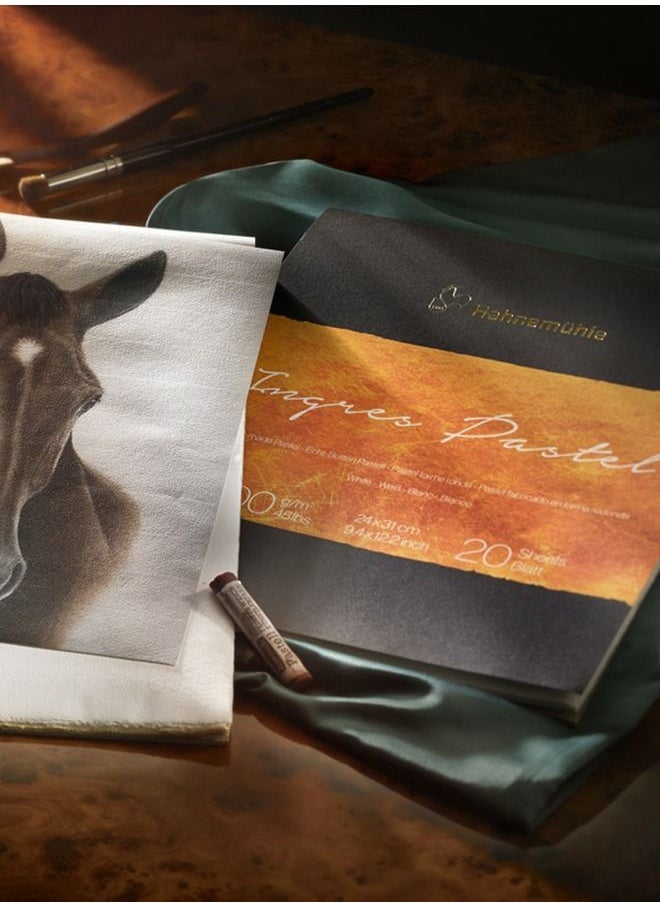 Hahnemühle The Collection - Ingres Pastel - 100 gsm