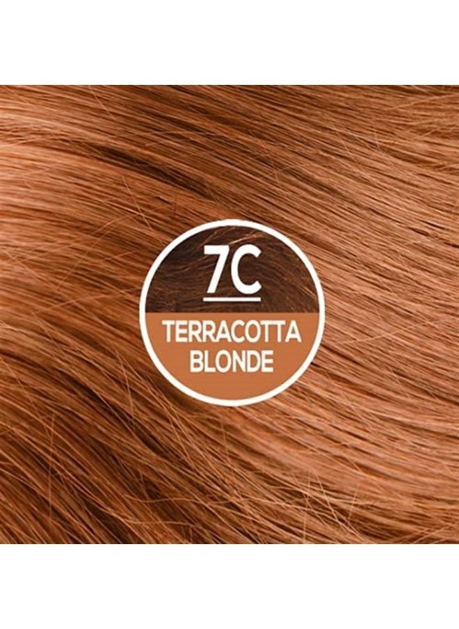 NATURTINT Permanent Hair Color 7C Terracotta Blonde (Pack of 6), Ammonia Free, Vegan, Cruelty Free, up to 100% Gray Coverage, Long Lasting Results  - Image 2