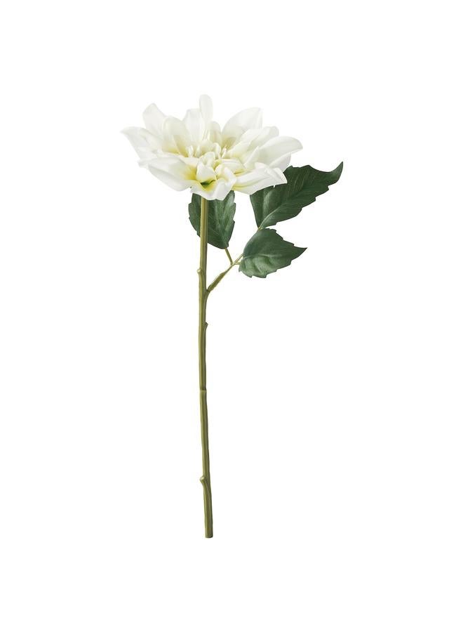 Zaboon Artificial flower, in/outdoor/Dahlia white, 30 cm - Image 1