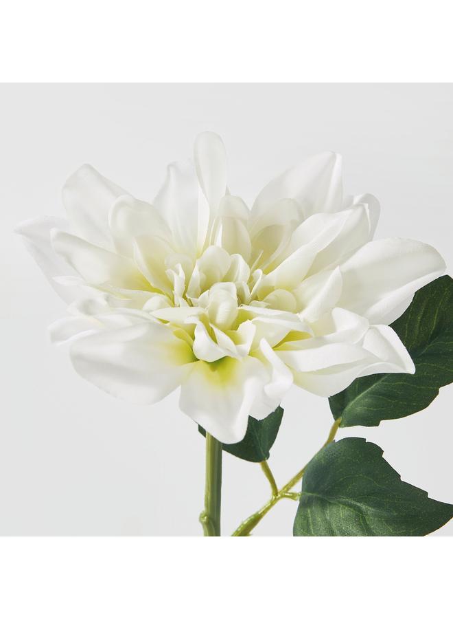 Zaboon Artificial flower, in/outdoor/Dahlia white, 30 cm - Image 3