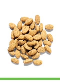 ZuPreem Natural Bird Food, 3 lb. - pzsku/Z353FA3F4F2884AAC1BA4Z/45/_/1733978694/e83f820c-5508-4a57-ada5-2325978addad