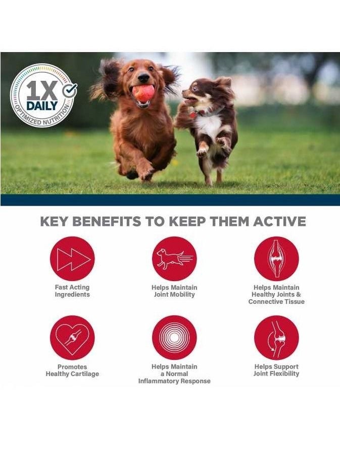 SynergyLabs Veterinary Formula Clinical Care Ultimate Joint Health For Pets 150g (30 Counts)  - Image 4