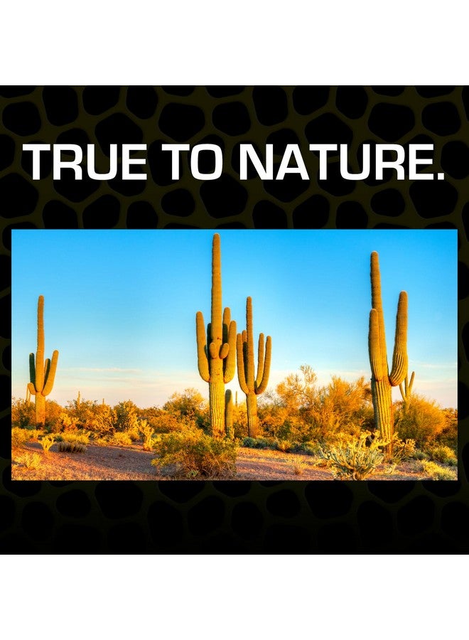 إكسو تيرا رمل الصحراء إكسو تيرا، 10 أرطال، أحمر، مناسب لجميع أحجام السلالات - Image 2