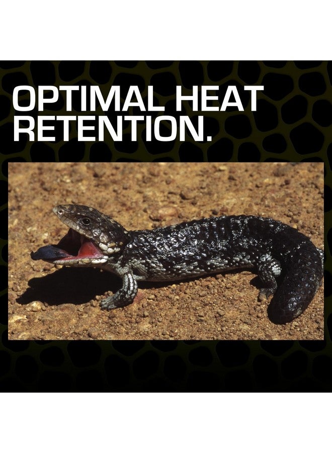 إكسو تيرا رمل الصحراء إكسو تيرا، 10 أرطال، أحمر، مناسب لجميع أحجام السلالات - Image 4