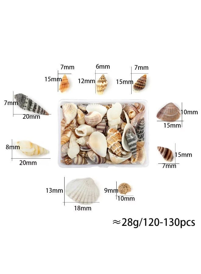 Natural shell small conch Oncomelania snail material package DIY jewelry set props scallop combination set - Image 1