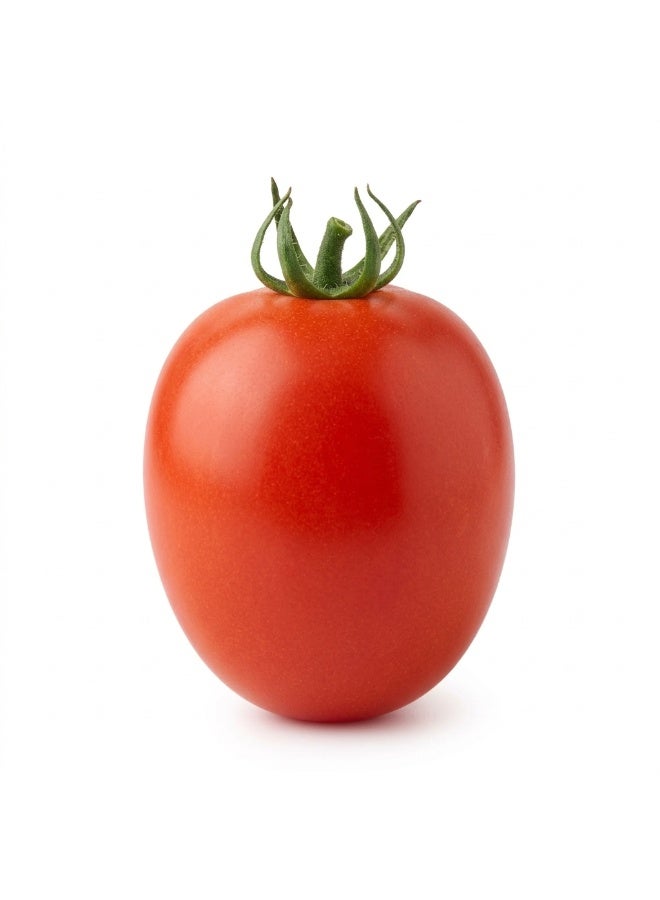 Al-Raei Garden Indeterminate Hybrid F1 Non-GMO Tomato Seeds for Kitchen & Balcony Gardening - Image 2