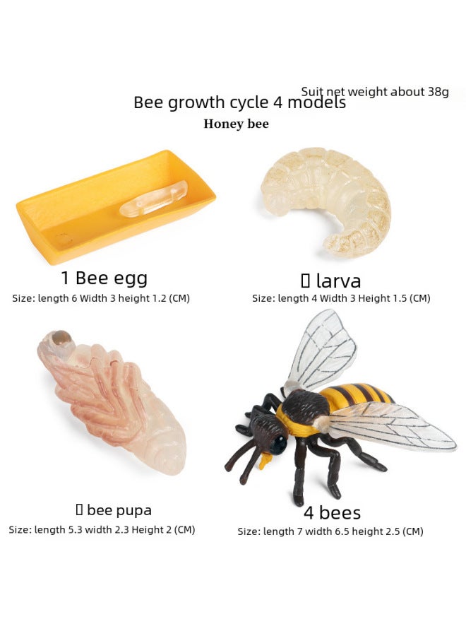 Children's Early Education Simulated Animal Growth Cycle Models Frog erfly Rooster Ant Spider Turtle Plastic Toys-Color:KZ Prehistoric Mini Ocean A (set Of 6) - Image 3
