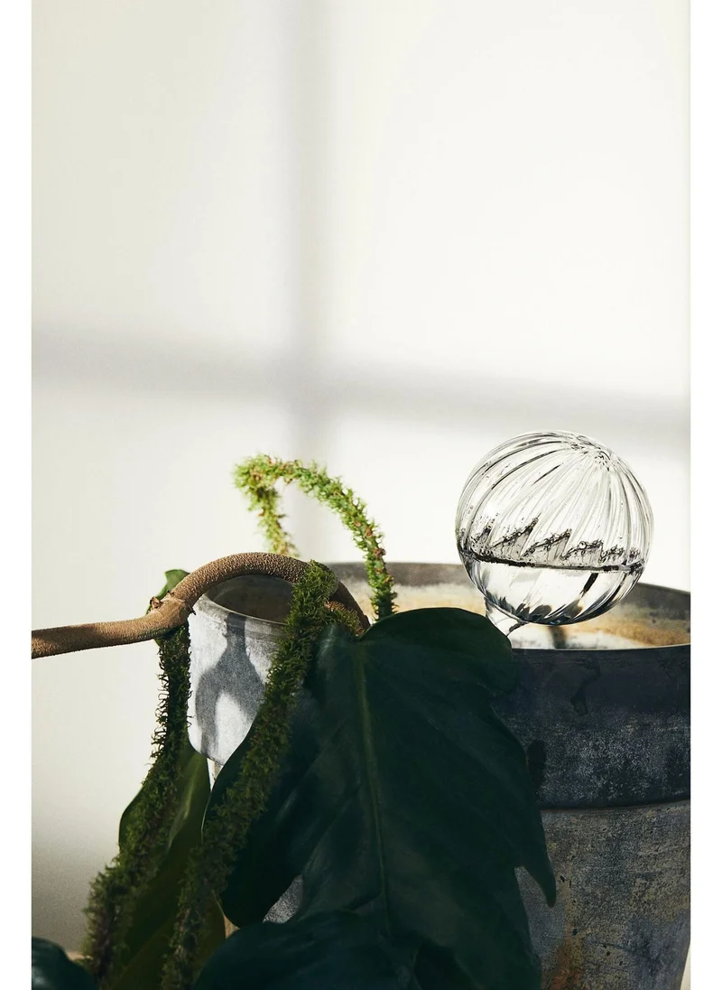 اتش اند ام Watering globe