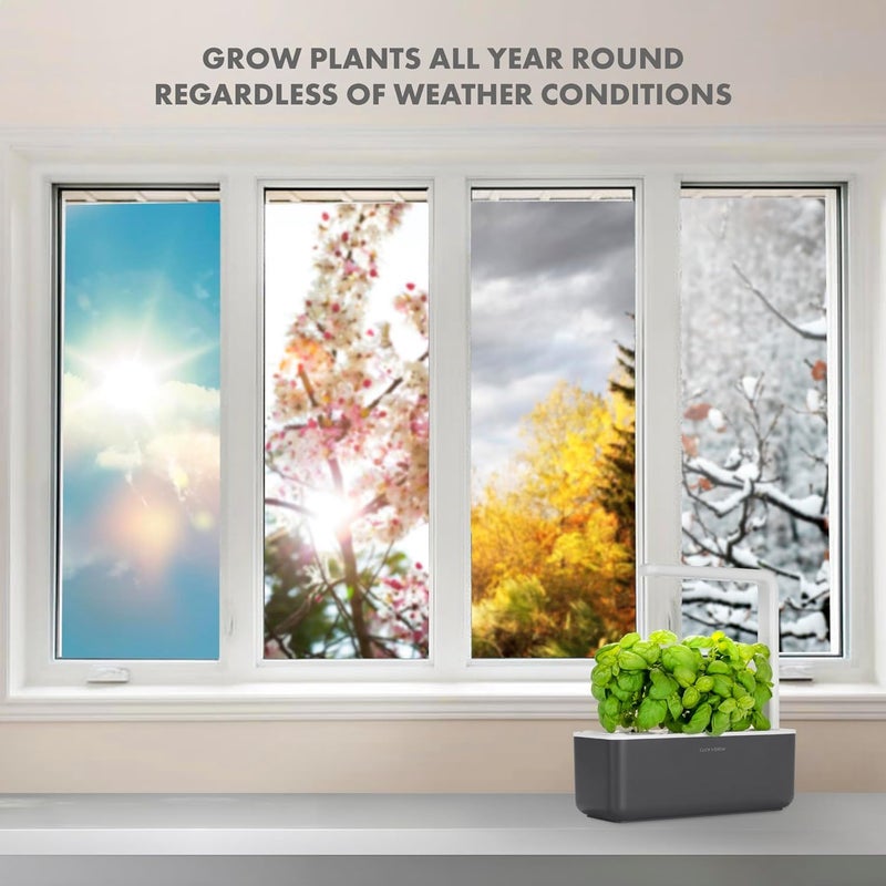 CLICK AND GROW Click & Grow Indoor Herb Garden Kit with Grow Light, Grey, Plastic  - Image 5