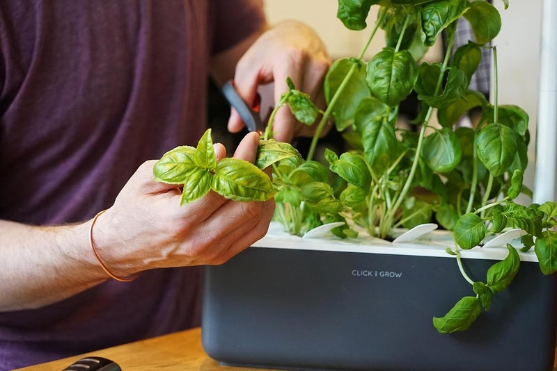 CLICK AND GROW Click & Grow Indoor Herb Garden Kit with Grow Light, Grey, Plastic  - Image 4