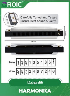 GROIC Harmonica, C Key Blues Harmonica for Beginners and Adults, 10 Holes Mouth Organ Blues Harp Diatonic Harmonica,Children Musical Instrument(Silver)  - Image 2