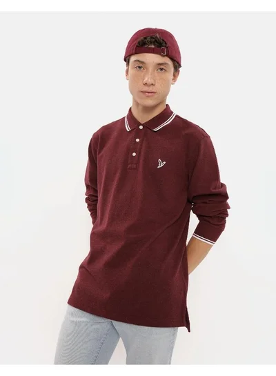 American Eagle AE Long-Sleeve Flex Pique Tipped Polo Shirt