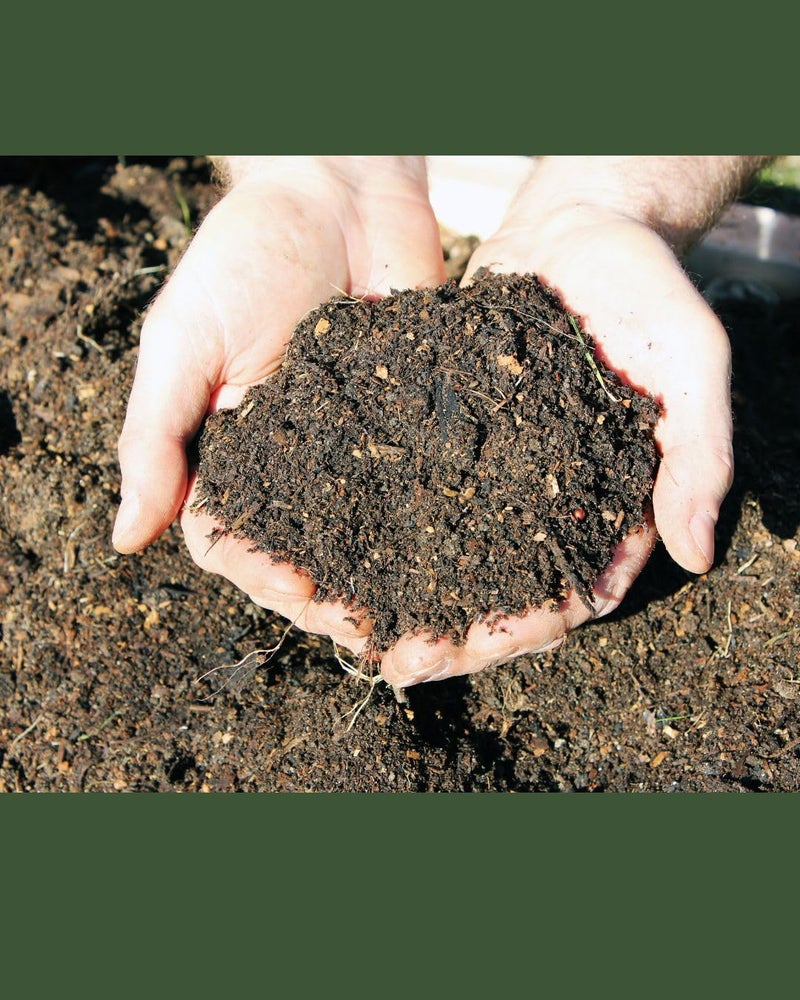 COIR GARDEN - Goat Manure for Home Gardening - Organic Fertilizer - Natural Soil Fertilizer for Flowering Plants - 5 KG - Image 3