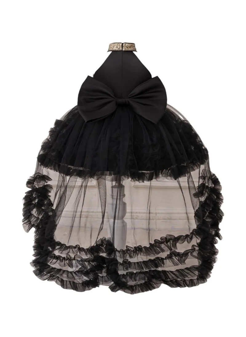 دىدانيالا D' Daniela - Little Black Swan Dress - Black