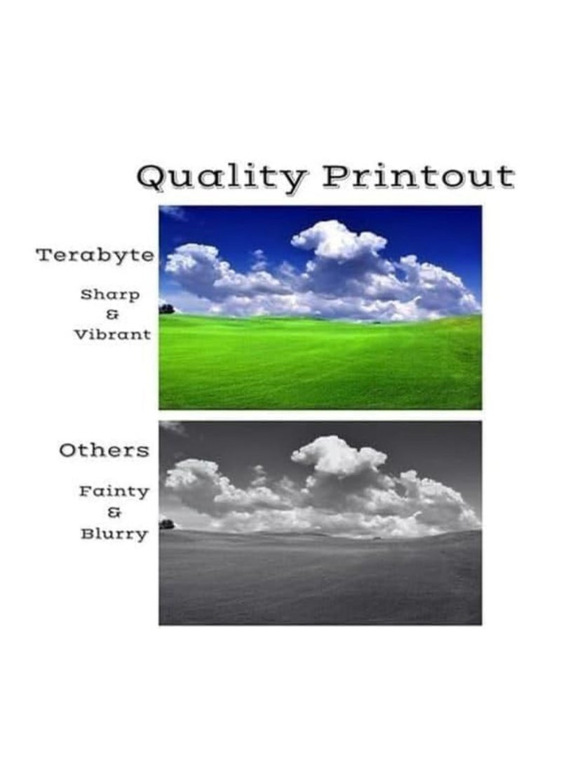 Terabyte 718 Compatible  Magenta Compatible Toner Cartridge for Use in i-SENSYS LBP7210Cd LBP7660cd MF720 MF724Cd MF726CdwMF728Cd MF8340cd MF8360cd MF8380cd MF8540cd MF8580cd (Magenta) - Image 2