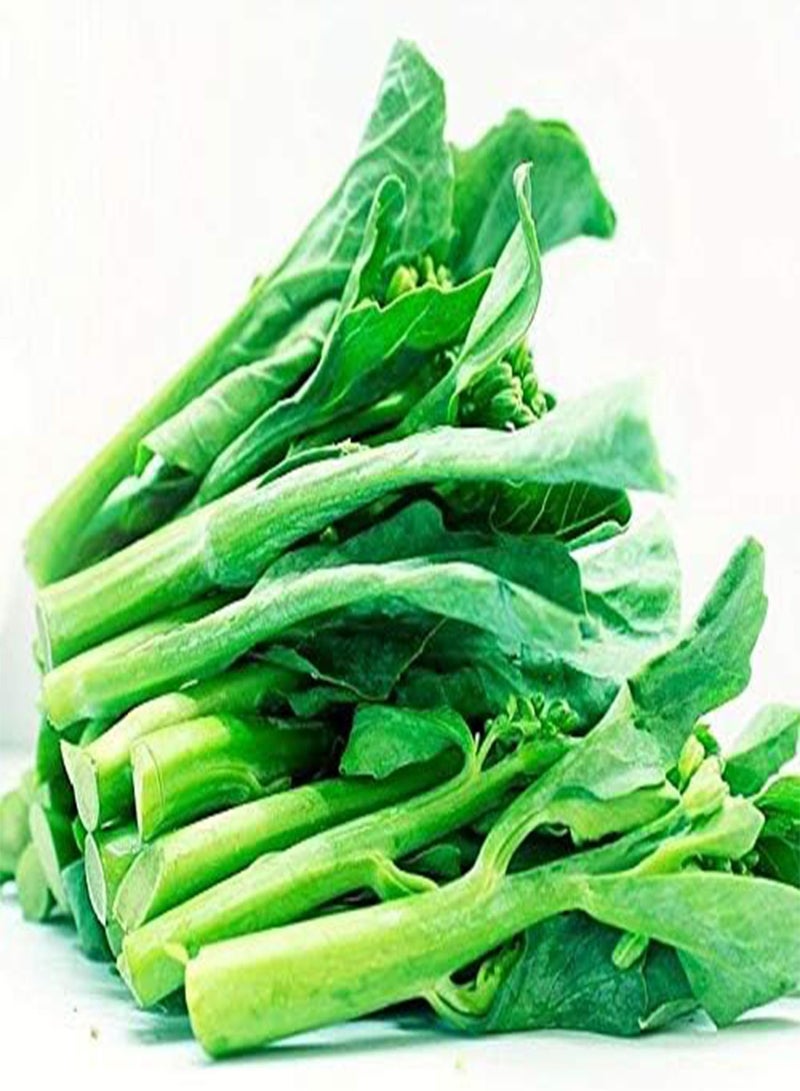 GGOOT Seeds Package: 600+ Broccoli Kale Gailaan Gai Lan Kai Lan Phak Khana ?? ????? - Image 2