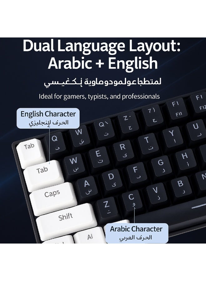 أيه بي جي كيبورد قيمنق ميكانيكي بسويتش أحمر - مضاء بخاصية RGB - تصميم لوحة مفاتيح عربي وإنجليزي - كيبورد مغناطيسي للألعاب - Image 3