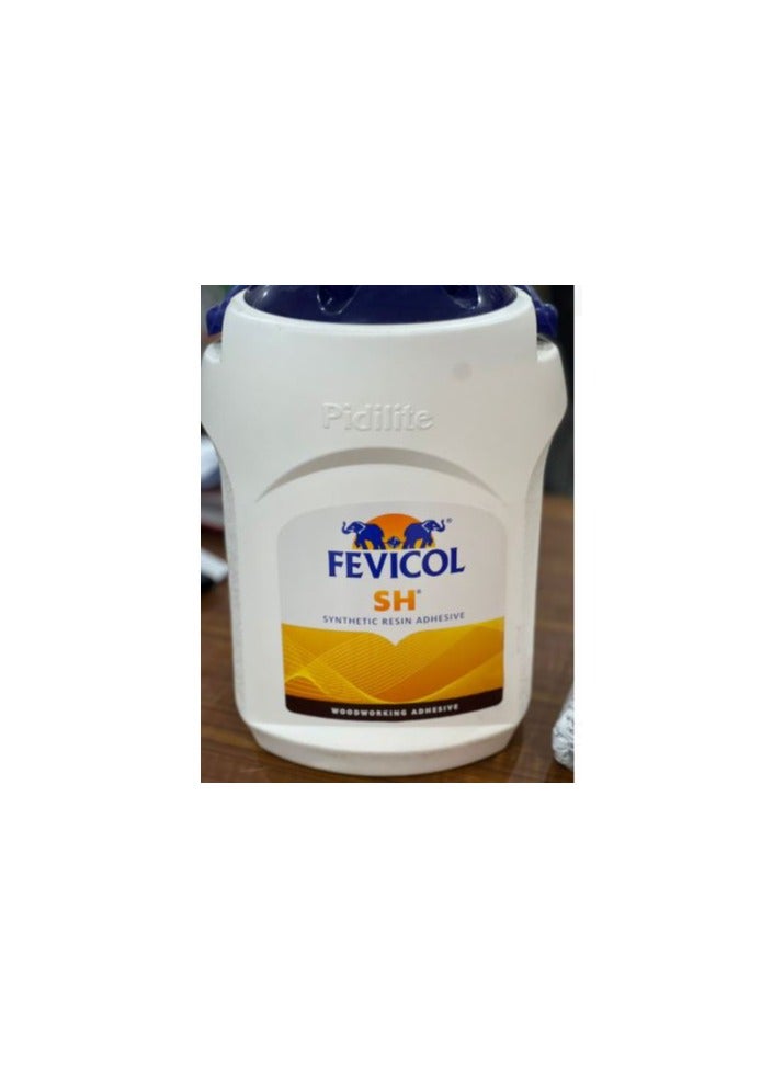 Fevicol SH WOOD GLUE 1KG - Image 1
