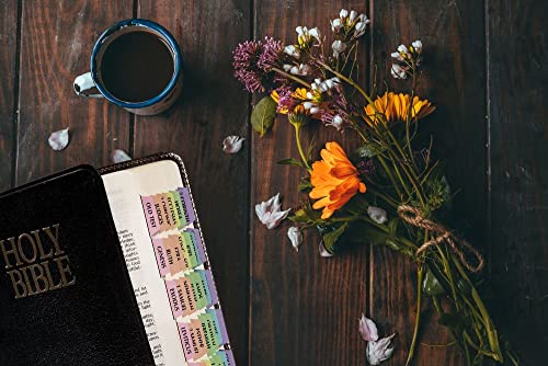 Tabbies 20 Pack with Display Rainbow Bible Indexing Tabs, Old & New Testaments, 80 Tabs Including 64 Books & 16 Ref. Tabs, Multi-Colored (58346) - Image 4