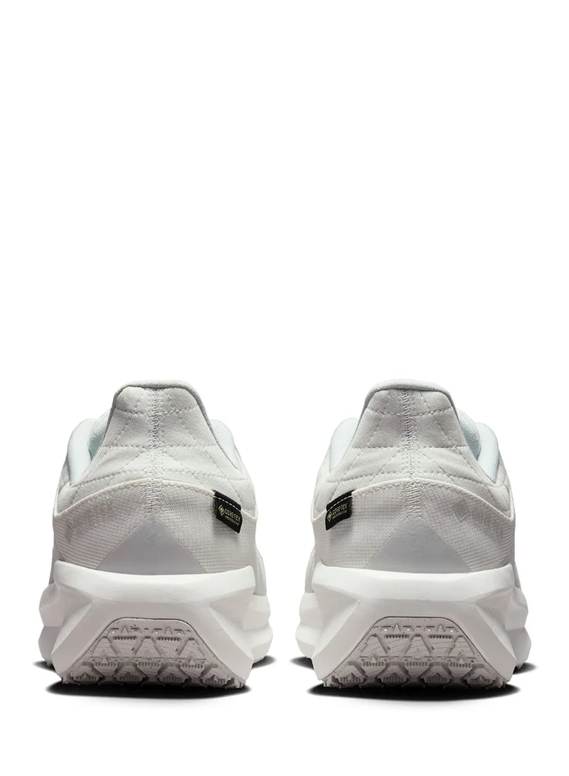 Nike Air Winflo 11 Gtx