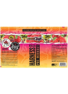 ARN ARN Harness Pre-Workout Drink  Venice Beach Flavor 12 x 355ml  - Image 2