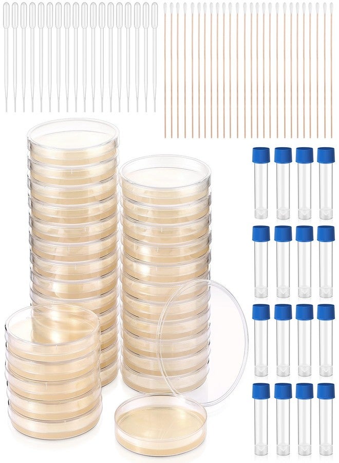 Relaxweex 90 Pieces Prepoured Agar Plates Kit Includes Petri Dishes with Agar Swabs Pipettes Storage Tubes Educational Science Kit Science Fair Project to Learn Microbiology - Image 1