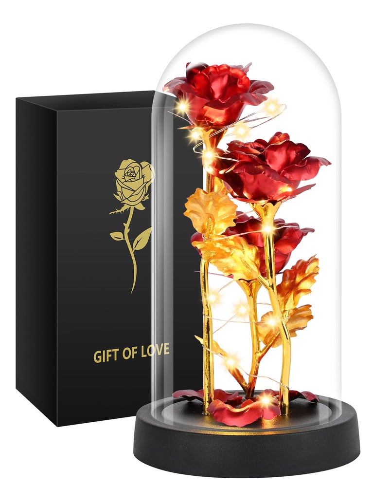 Tayfeim Gifts for Mom, Womens Gift for Birthday Gifts for Women Mom Wife Girlfriend, Light Up Rose in A Glass Dome, Rose Gifts for Valentines, Mothers Day, Womens Day (Red) - Image 1
