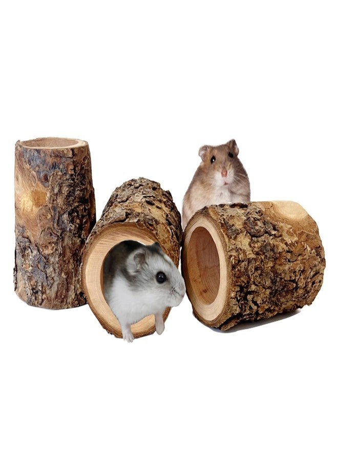TANOMA 3PCS Natural Apple Wooden Hamster Mouse Tunnel Tube Toy, Hamster Hideout for Hamsters Mouse Gerbils Mice Rat, Cage Accessories for Hiding and Resting - Image 1