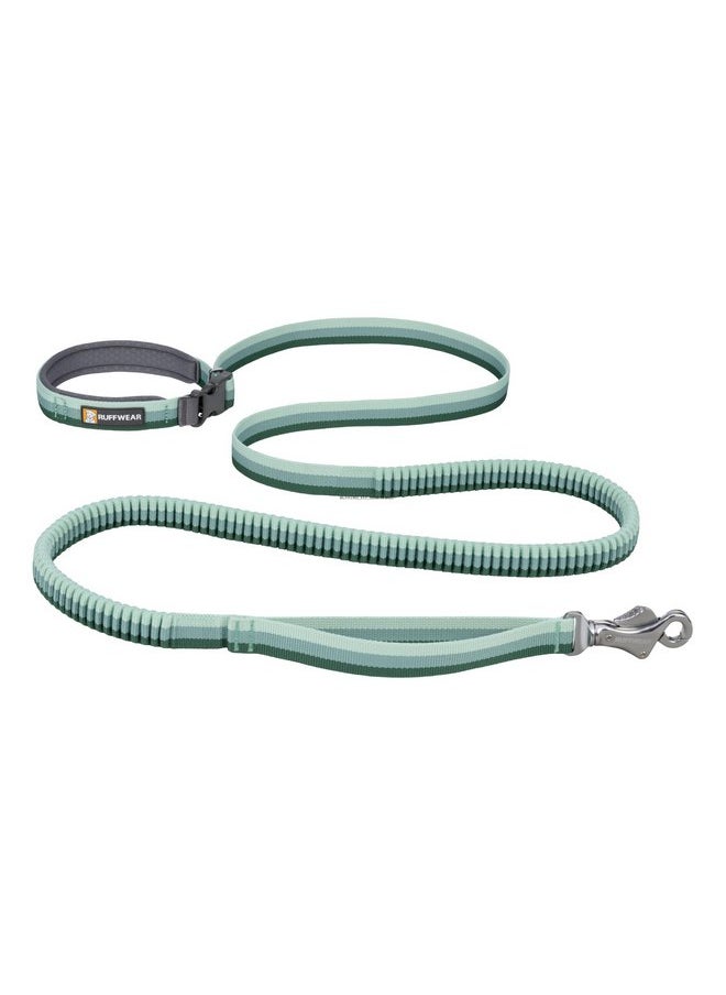 RUFFWEAR Ruffwear, Roamer Bungee Dog Leash for Running, Biking or Hiking, Can be Used Hand-Held or Hands-Free, Rock Green, 5.5'-7'  - Image 1